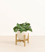 Load image into Gallery viewer, Shiny EggWhite stand:bamboo
