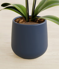 Load image into Gallery viewer, Deep Navy stand:all
