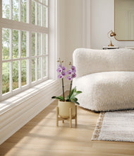 Load image into Gallery viewer, Almond Green stand:bamboo
