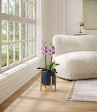 Load image into Gallery viewer, Deep Navy stand:bamboo
