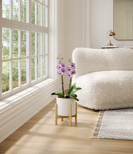Load image into Gallery viewer, White stand:bamboo

