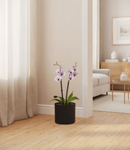 Load image into Gallery viewer, Black
