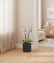 Load image into Gallery viewer, Deep Navy
