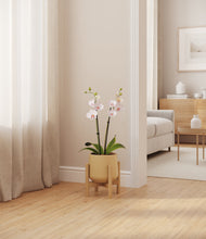 Load image into Gallery viewer, Almond Green stand:bamboo
