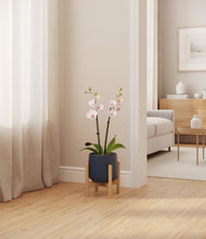 Load image into Gallery viewer, Deep Navy stand:bamboo
