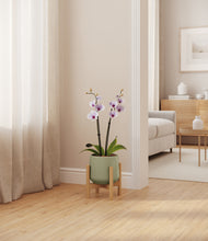 Load image into Gallery viewer, Turquoise stand:bamboo
