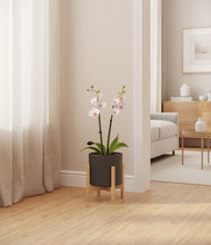 Load image into Gallery viewer, Dark Olive stand:bamboo
