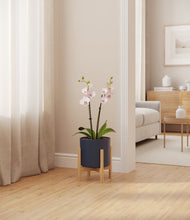 Load image into Gallery viewer, Deep Navy stand:bamboo
