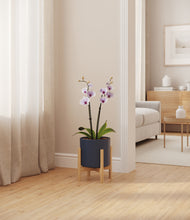 Load image into Gallery viewer, Deep Navy stand:bamboo
