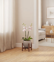 Load image into Gallery viewer, Winter Clouds stand:walnut
