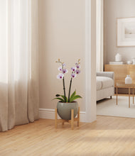 Load image into Gallery viewer, Deep Ocean stand:bamboo
