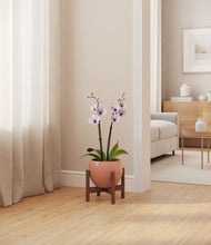 Load image into Gallery viewer, Calm Rose stand:walnut
