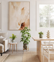 Load image into Gallery viewer, Earthy stand:one_stand

