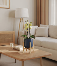 Load image into Gallery viewer, Deep Navy stand:bamboo
