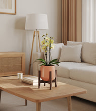 Load image into Gallery viewer, Calm Rose stand:walnut
