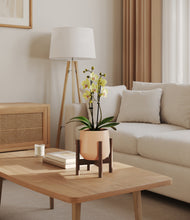 Load image into Gallery viewer, Gentle Pink stand:walnut
