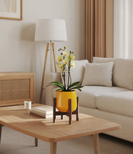 Load image into Gallery viewer, Mustard stand:walnut
