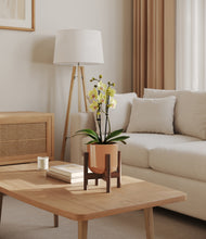 Load image into Gallery viewer, Glossy Pink stand:walnut
