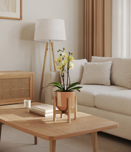 Load image into Gallery viewer, Glossy Pink stand:bamboo
