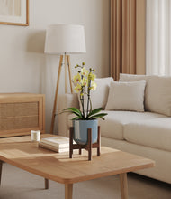 Load image into Gallery viewer, Misty Blue stand:walnut
