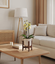 Load image into Gallery viewer, Snowdrift White stand:walnut
