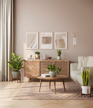 Load image into Gallery viewer, -
