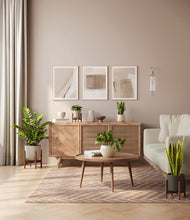 Load image into Gallery viewer, Woodland stand:three_stands
