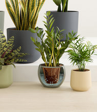 Load image into Gallery viewer, Earthy stand:all
