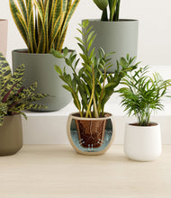 Load image into Gallery viewer, Woodland stand:all
