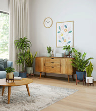 Load image into Gallery viewer, -
