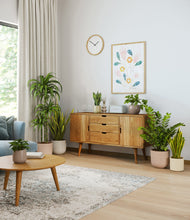 Load image into Gallery viewer, Sandy
