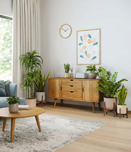 Load image into Gallery viewer, -
