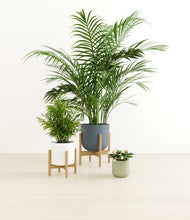 Load image into Gallery viewer, Earthy stand:two_stands

