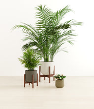 Load image into Gallery viewer, Woodland stand:two_stands
