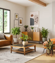 Load image into Gallery viewer, Woodland stand:four_stands
