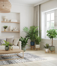 Load image into Gallery viewer, Earthy stand:four_stands
