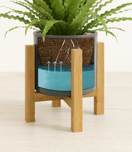 Load image into Gallery viewer, Dark Olive stand:light
