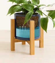 Load image into Gallery viewer, Deep Navy stand:light
