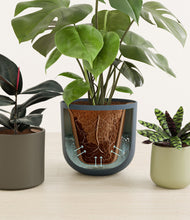 Lade das Bild in den Galerie-Viewer, Earthy stand:all
