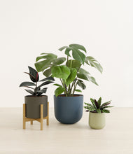Lade das Bild in den Galerie-Viewer, Earthy stand:one_stand
