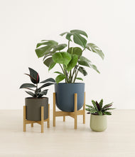 Lade das Bild in den Galerie-Viewer, Earthy stand:two_stands

