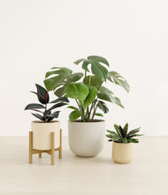 Lade das Bild in den Galerie-Viewer, Sandy stand:one_stand
