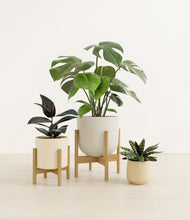 Lade das Bild in den Galerie-Viewer, Sandy stand:two_stands
