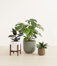 Lade das Bild in den Galerie-Viewer, Woodland stand:one_stand
