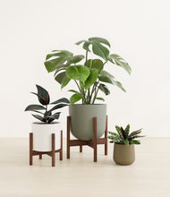 Lade das Bild in den Galerie-Viewer, Woodland stand:two_stands
