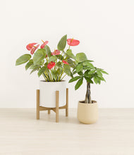 Load image into Gallery viewer, Buttercream stand:two_stands
