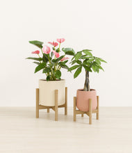 Load image into Gallery viewer, Rose Garden stand:two_stands
