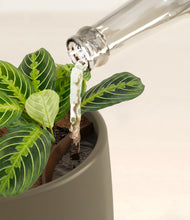 Lade das Bild in den Galerie-Viewer, Olive stand:all
