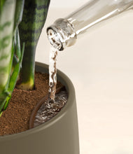 Load image into Gallery viewer, Olive stand:all
