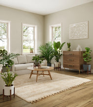 Load image into Gallery viewer, -
